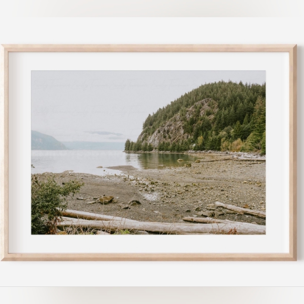 Pacific Pines & Tides 8x12 Unframed Photography Print | canada, wall art, decor